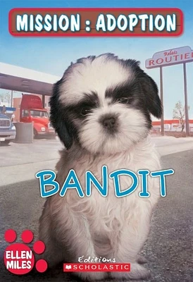 Mission: adoption. Bandit