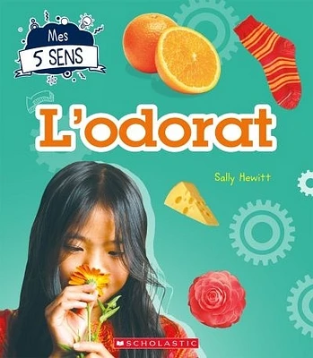 L'odorat