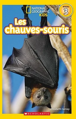 Les chauves-souris