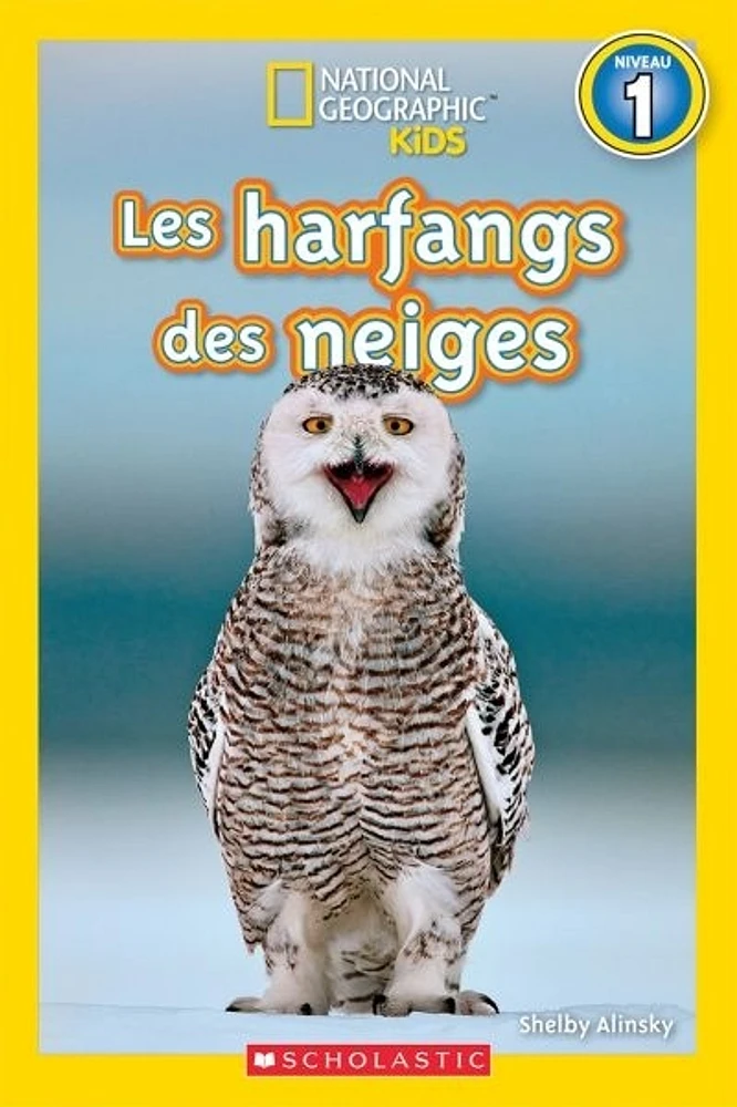 Les harfangs des neiges