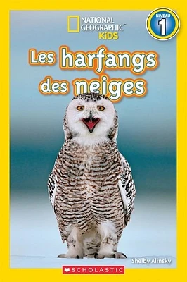 Les harfangs des neiges