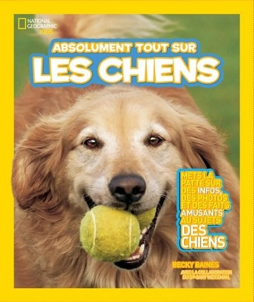 Absolument tout sur les chiens