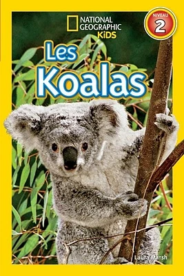 Les koalas