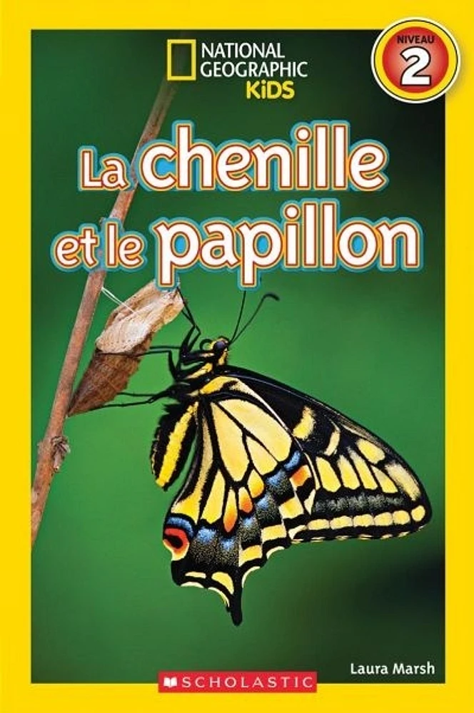 La chenille et le papillon