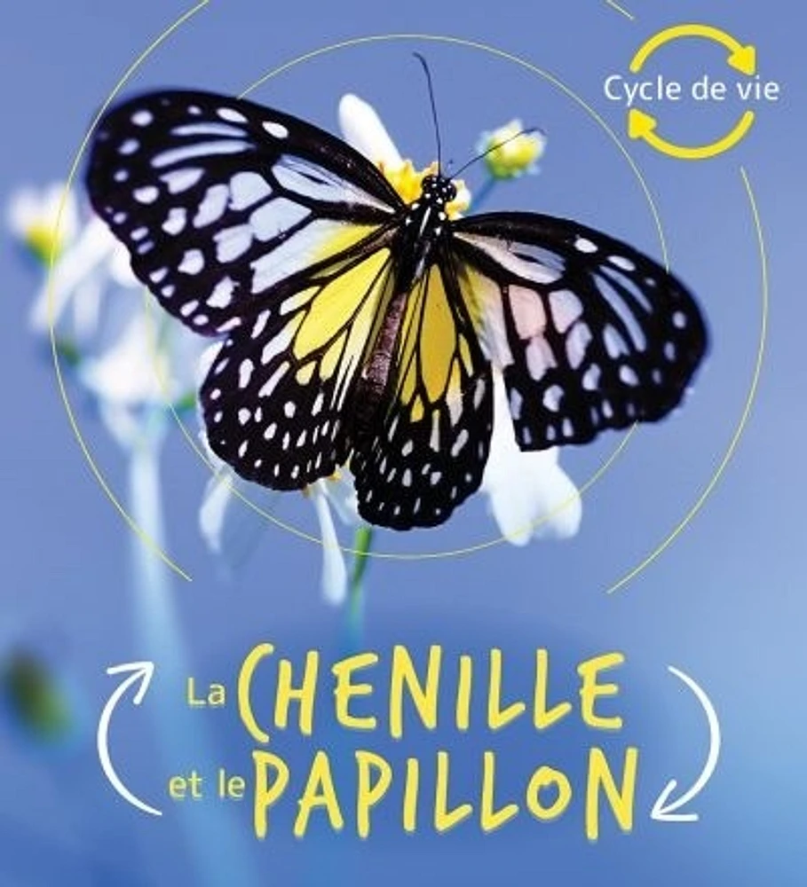 La chenille et le papillon