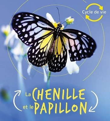 La chenille et le papillon