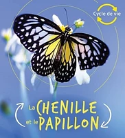 La chenille et le papillon