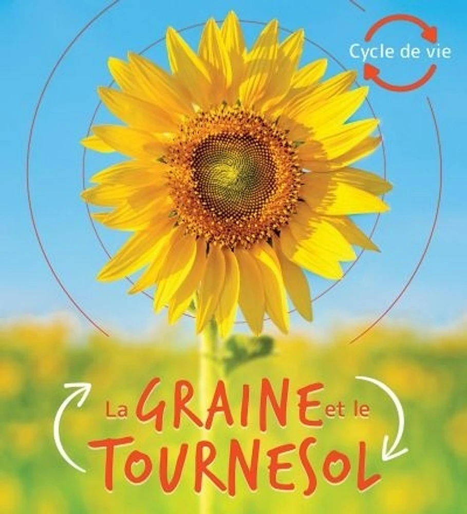 La graine et le tournesol