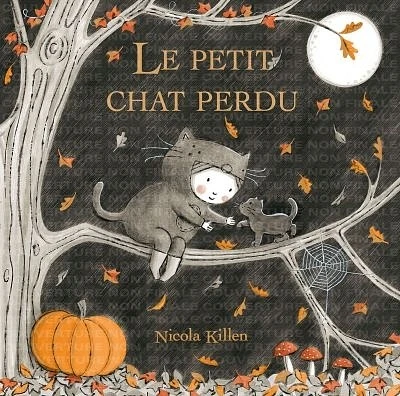 Le petit chat perdu