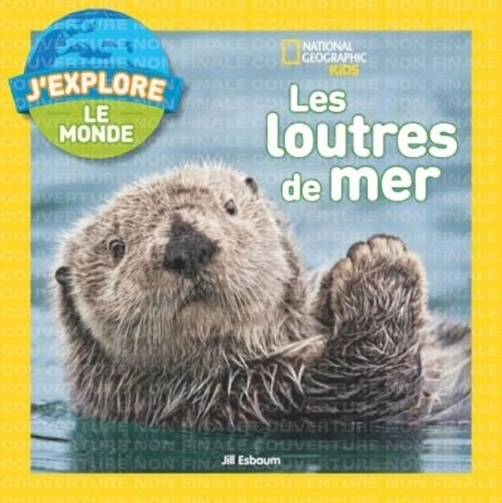 Les loutres de mer