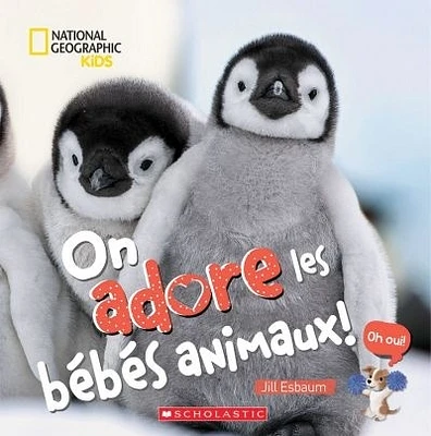 On adore les bébés animaux!