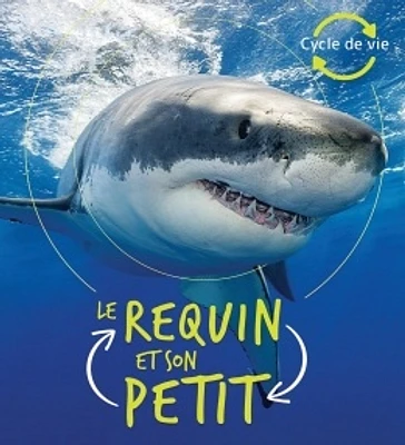 Le requin et son petit