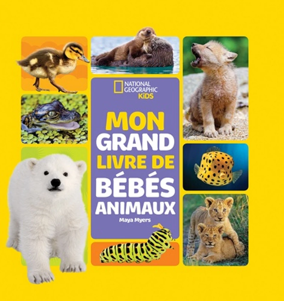 Mon grand livre de bébés animaux