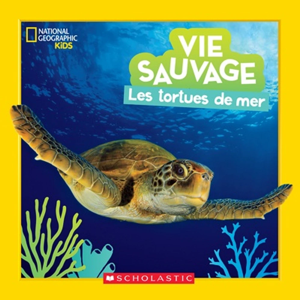 Les tortues de mer