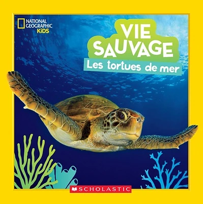 Les tortues de mer