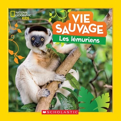 Les lémuriens