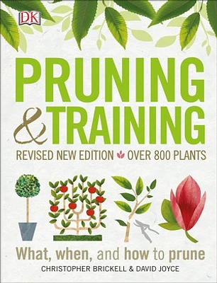 Pruning and Training, Revised New Edition