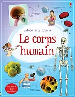 Le corps humain