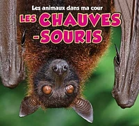 Les chauves-souris