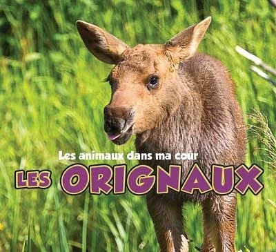 Les orignaux