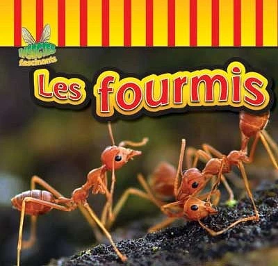 Les fourmis