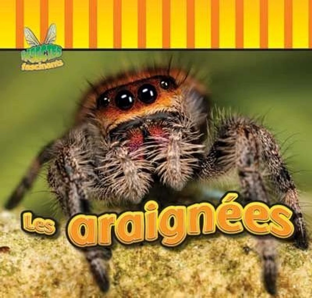 Les araignées