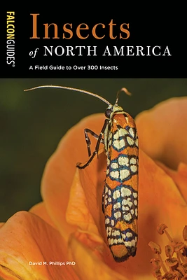 Insects of North America