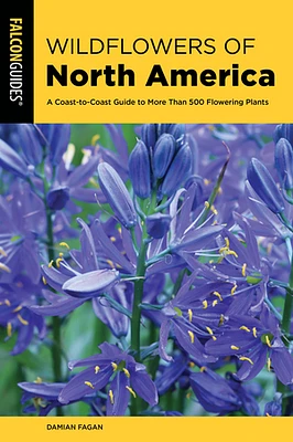 Wildflowers of North America