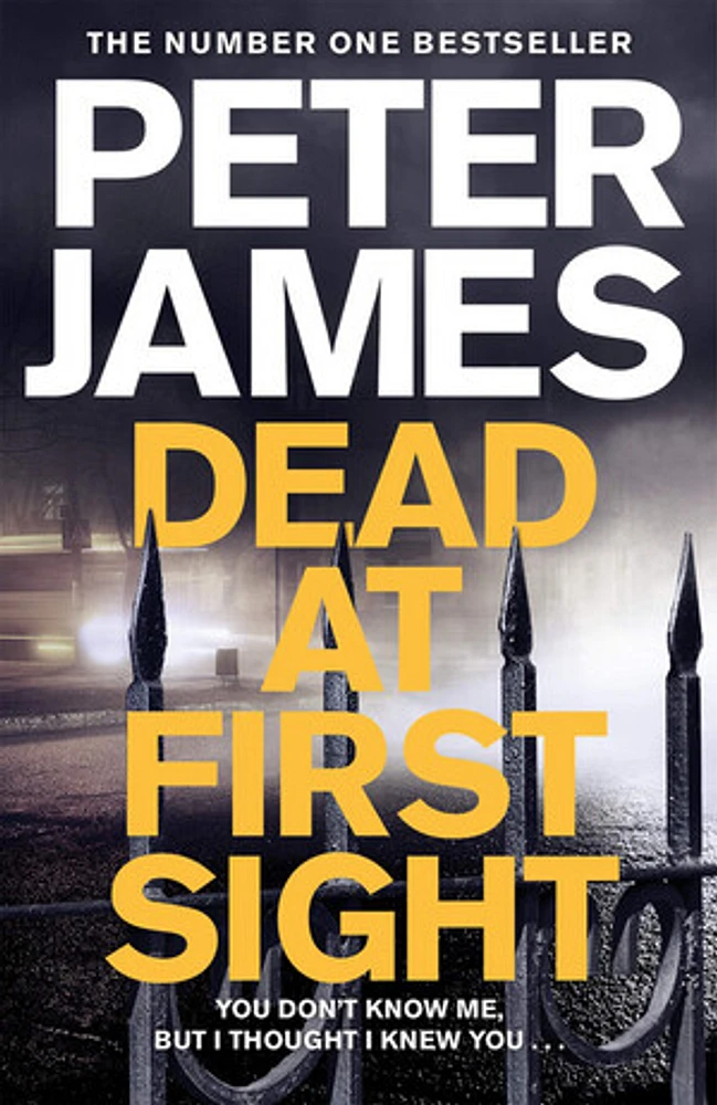 Dead at First Sight (Roy Grace #15)