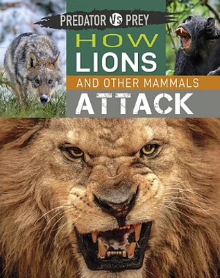 Predator vs Prey: How Lions and other Mammals Attack!