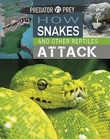 Predator vs Prey: How Snakes and other Reptiles Attack!