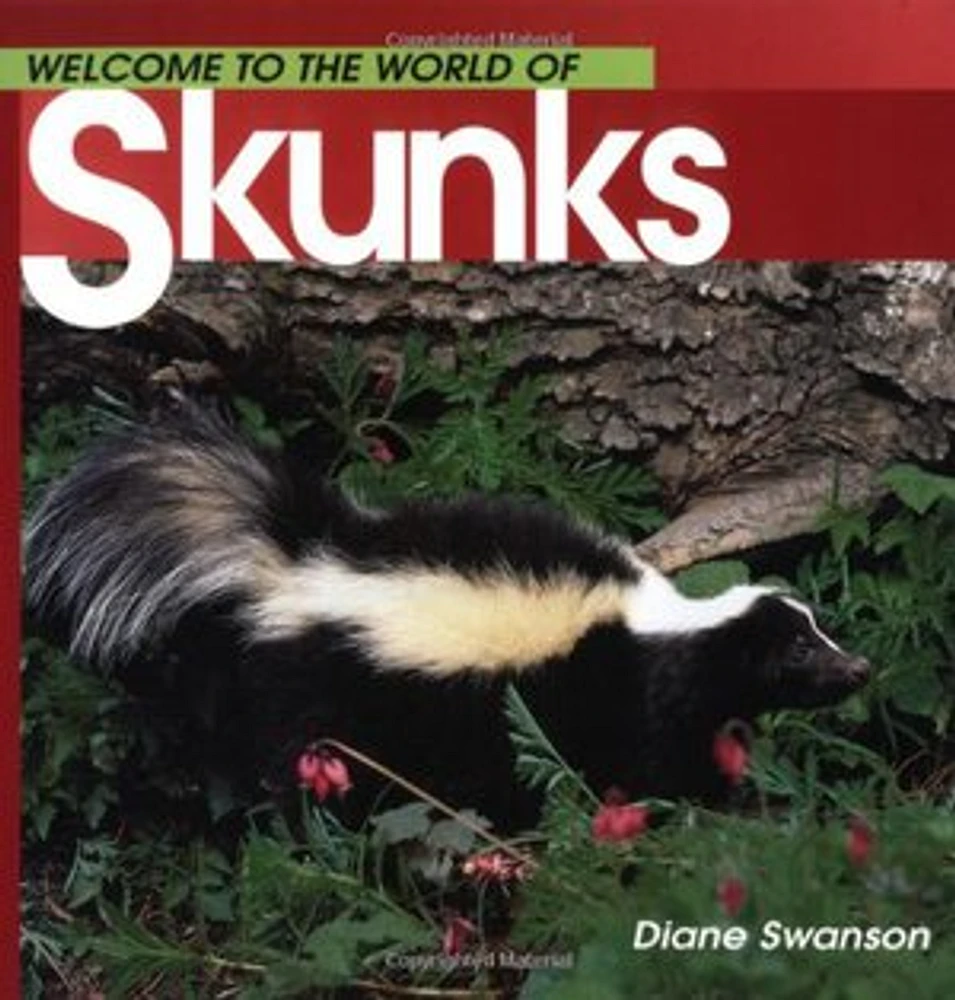 Welcome to the World of Skunks