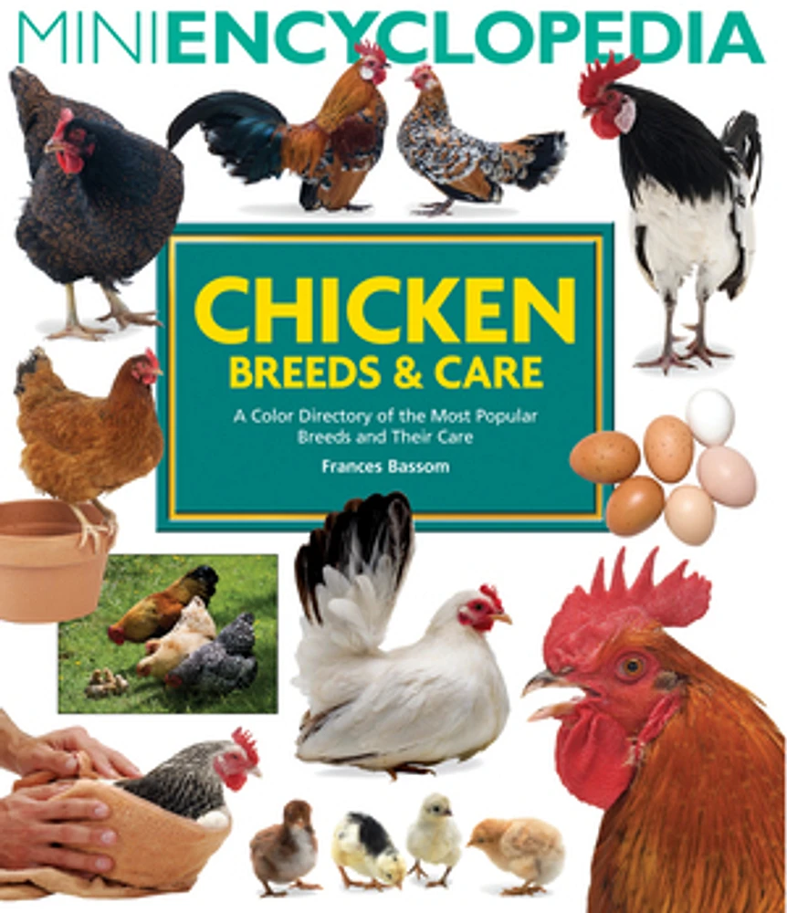 Mini Encyclopedia of Chicken Breeds and Care