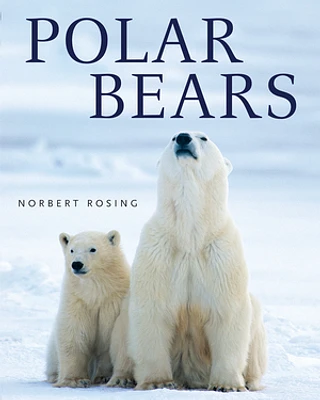 Polar Bears