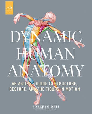 Dynamic Human Anatomy