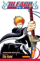 Bleach, Vol. 1