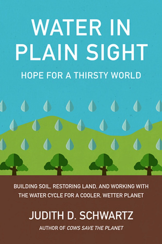 Water in Plain Sight