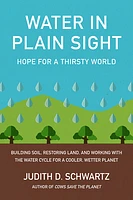 Water in Plain Sight