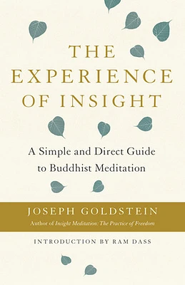 The Experience of Insight