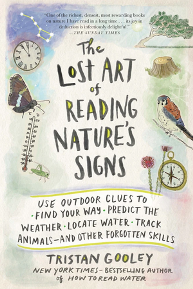 The Lost Art of Reading Nature's Signs