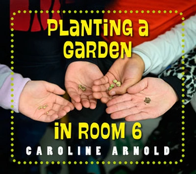 Planting a Garden in Room 6