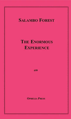 The Enormous Experience