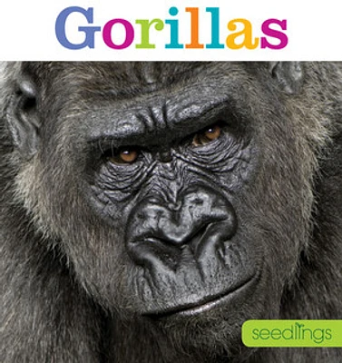 Seedlings: Gorillas