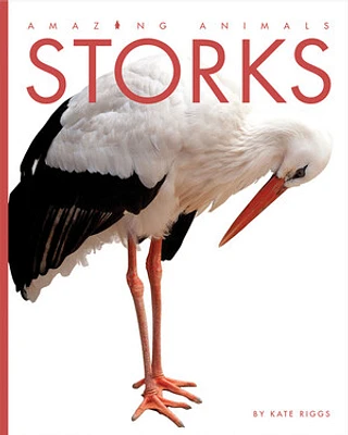 Amazing Animals: Storks