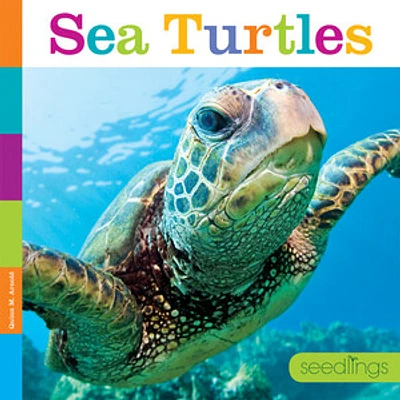 Seedlings: Sea Turtles