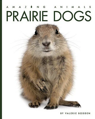 Prairie Dogs