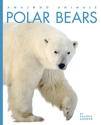 Polar Bears