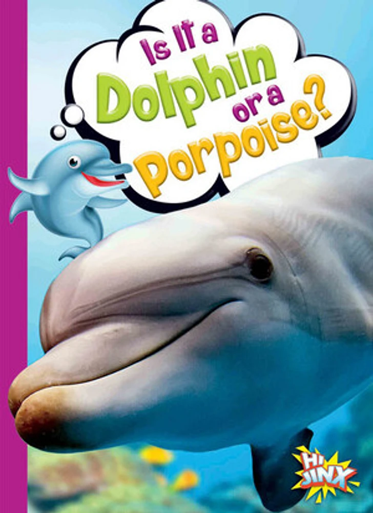 Is It a Dolphin or a Porpoise?