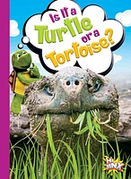 Is It a Turtle or a Tortoise?