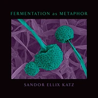 Fermentation as Metaphor